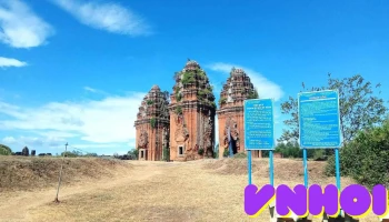Tháp Chăm Dương Long - Tây Sơn
