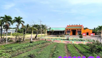 Thiên Hậu Cung Quảng Đông 廣肇天后宮 - Tt. Tiểu Cần
