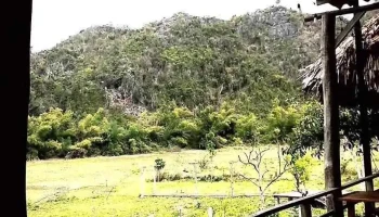 Thung lũng Bướm - Butterfly Valley - Hải Phòng