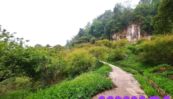 Thung Lũng Mu Náu - Tt. Mộc Châu