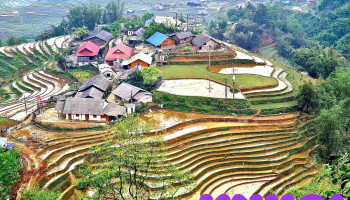 Thung Lũng Mường Hoa - Sa Pa