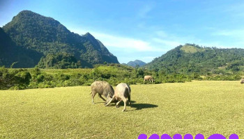 Thung lũng Nà Lùng - Lạng Sơn