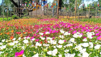 Travada garden - Quảng Nam