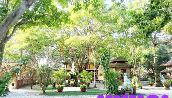 Trúc Lâm Bảo Sơn - Tóc Tiên