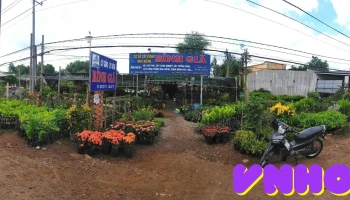 Trại Cây Giống Bình Giã - Châu Đức