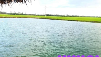 Trạm dừng chân Hữu Tâm 79 - Tam Nông