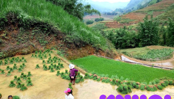 Trạm dừng nghỉ Km 57 Cao Tốc Nội Bài Lào Cai - Tiên Kiên