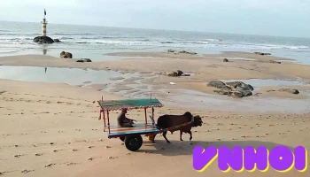 tx. La Gi - Bình Thuận