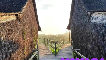 Tư Cá Linh Homestay - Phú Thọ