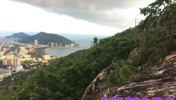 Tượng Phật Niêm Hoa - Phường 1