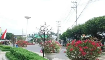 Vòng xoay Tầm Vu - Long An