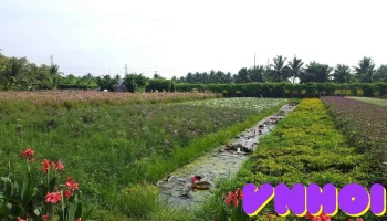 Vườn cây kiểng Sáu Viễn Làng hoa Mỹ Tho - Tiền Giang