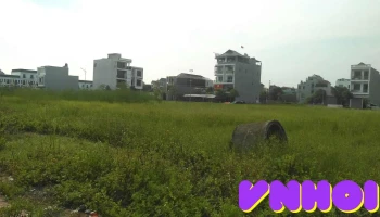 Vườn Hoa Chợ Tiên Lữ - Tt. Vương