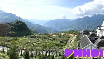 Vườn Hồng Cổ Sa Pa - Sa Pa