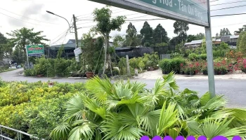 Vườn Kiểng Lộc Xuân - Tân Qúy Đông