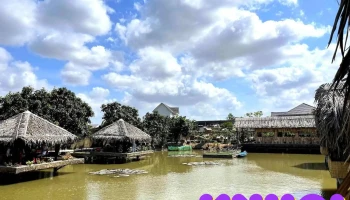 Vườn Nho Sóc Trăng - Tt. Mỹ Xuyên