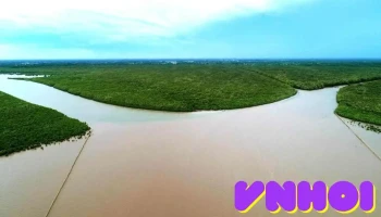Vườn Quốc Gia Mũi Cà Mau - Cà Mau