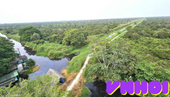 Vườn Quốc Gia U Minh Hạ - Cà Mau