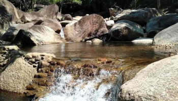 Vườn rừng sinh thái suối Xanh - Quảng Nam