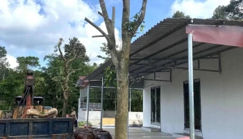 Vườn Suối Đá - Châu Đức
