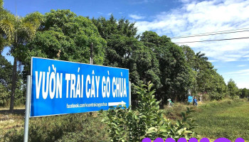 Vườn trái cây Gò Chùa - Phước Trạch
