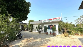 Vườn Ươm Khai Nguyên - Kim Long