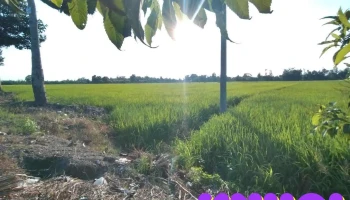 Vị Thanh - Hậu Giang