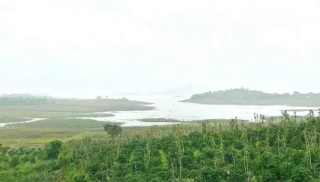 Đào Hoa Đảo - Đạt Đông Tà - Krông Nô