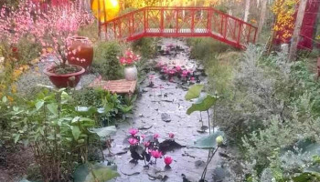 Điểm Du Lịch Sinh Thái Long Hưng - Tiền Giang