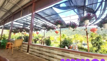 Điểm du lịch Sơn Long Field - Bình Phước