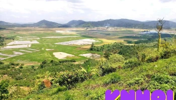 Điểm ngắm cánh đồng lúa ven núi lửa - Đt684