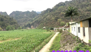 Điểm Thu Vé Tham Quan Ba Bể - Ql279