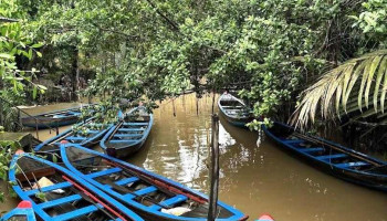 Điểm Đón Khách Khu Du lịch Cồn Phụng - Bến Tre
