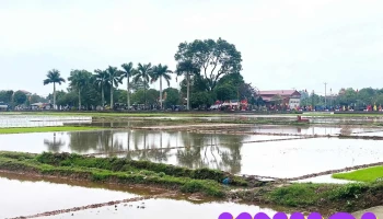 Đình Hoan Ái - Tân Việt