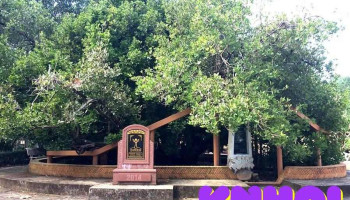 Đình Phú Tự - Bến Tre
