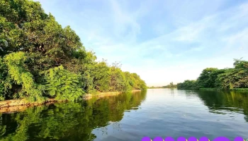 Đảo Cò Chi Lăng - Hải Dương