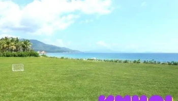 Đảo Đá Dựng - Đầm Hà
