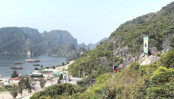 Đền Vũng Đục - Cẩm Đông