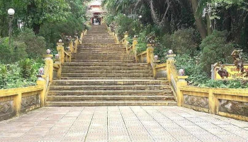 Đồi 79 Mùa Xuân - Hà Nội