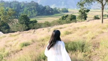Đồi Cỏ Hồng Mộc Châu - Mường Sang