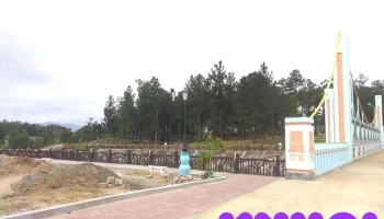 Đồi Thông sông hinh - Ea Bia