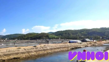 Đồng muối Sa Huỳnh - Phổ Thạnh