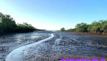 Đỗ xe Biển Vô Cực Thái Bình - Thái Bình