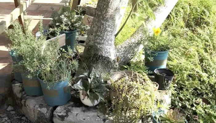 An Suoi Garden Camp Video - An Giang