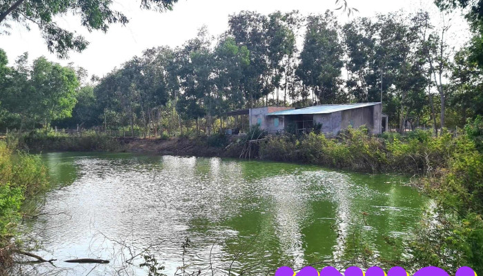 Ba To Lakeview -  Cua Chu So Huu - Bà Rịa - Vũng Tàu