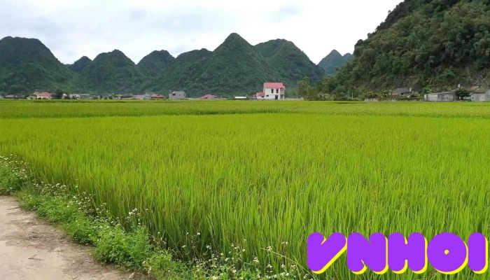 Bac Son Valley -  Video - Lạng Sơn