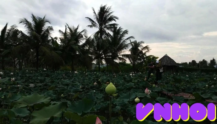 Bach Nhat Hoa Vien Ao - Tiền Giang