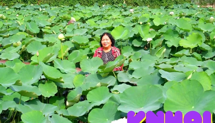 Bách Nhật Hoa Viên - Tiền Giang