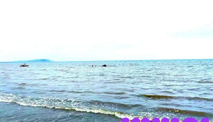 Bai Bien Dien Hai Video - Nghệ An