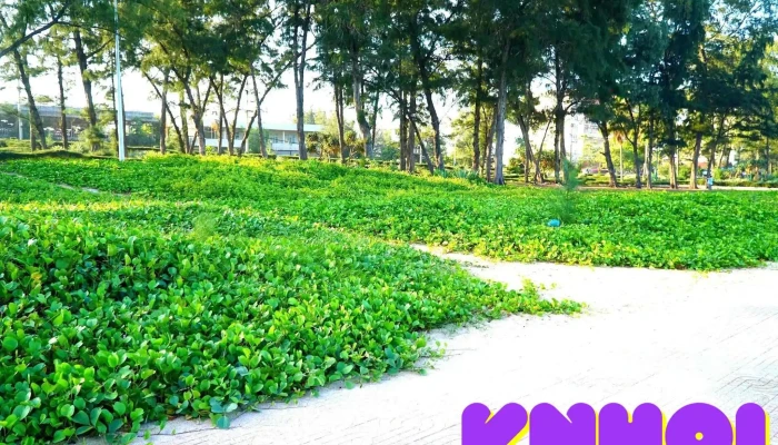 Bai Bien Doi Duong Moi Nhat - Bình Thuận